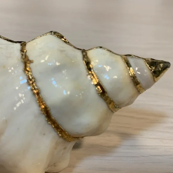 Vintage 1970s Real Shell Belt Buckle Ivory & Gold Nautical Coastal Beach Vibe - Picture 7 of 17